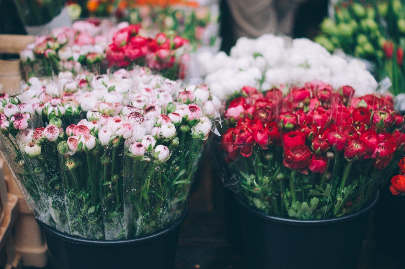 fleuriste-VILLECROZE-min_farmers-market-1209712